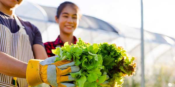 Food & Beverage Sustainability Summit 2025